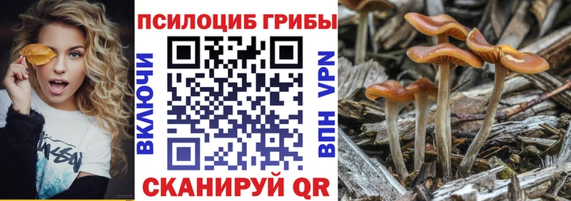 Галлюциногенные грибы прущие грибы  сколько стоит  Удачный 